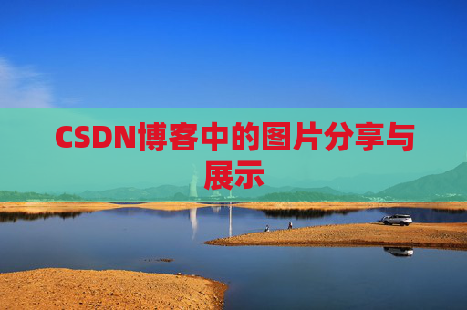 CSDN博客中的图片分享与展示